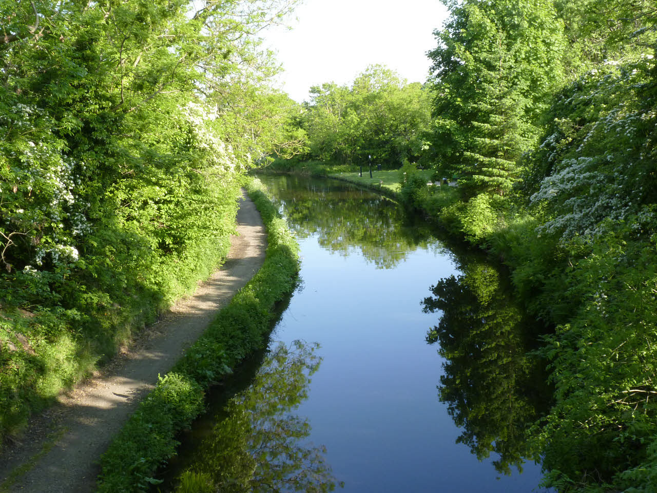 The canal and leafy towpath in Winchburgh